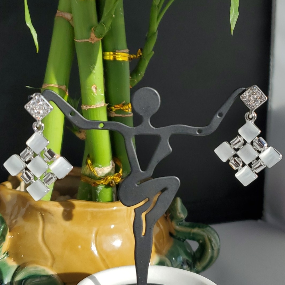 Fancy Earring